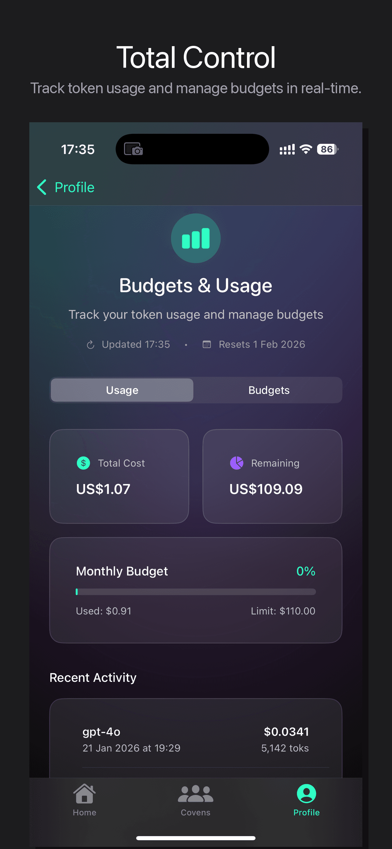 iPhone budgets and usage