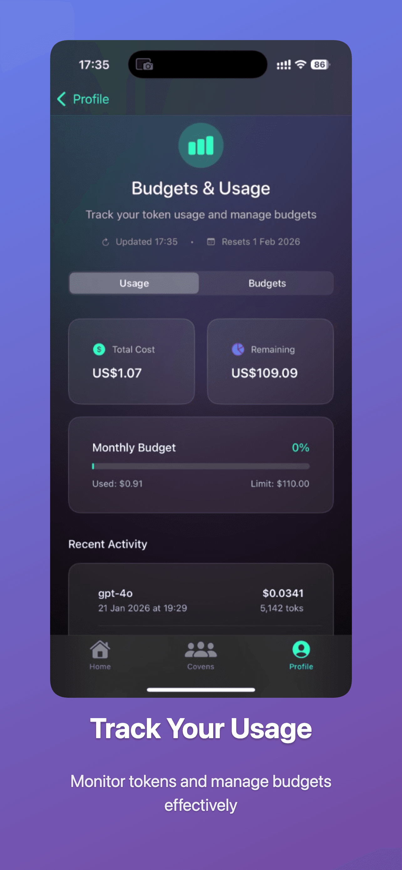 Budgets and usage screen